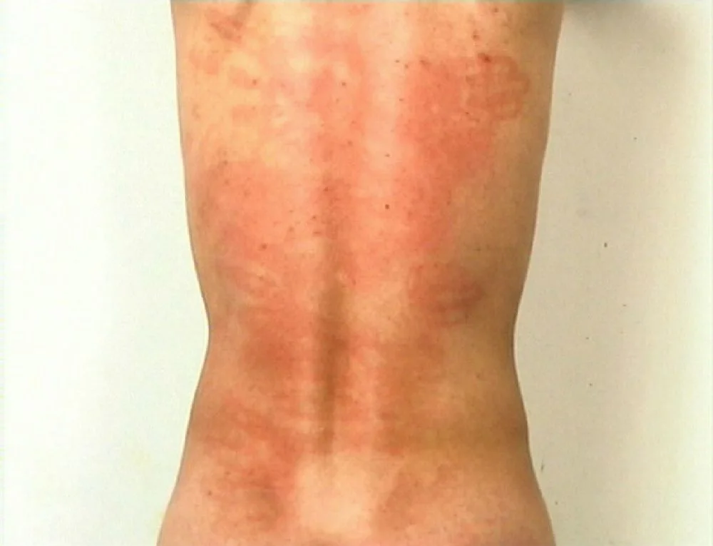 Xu Zhen, Rainbow (1998)