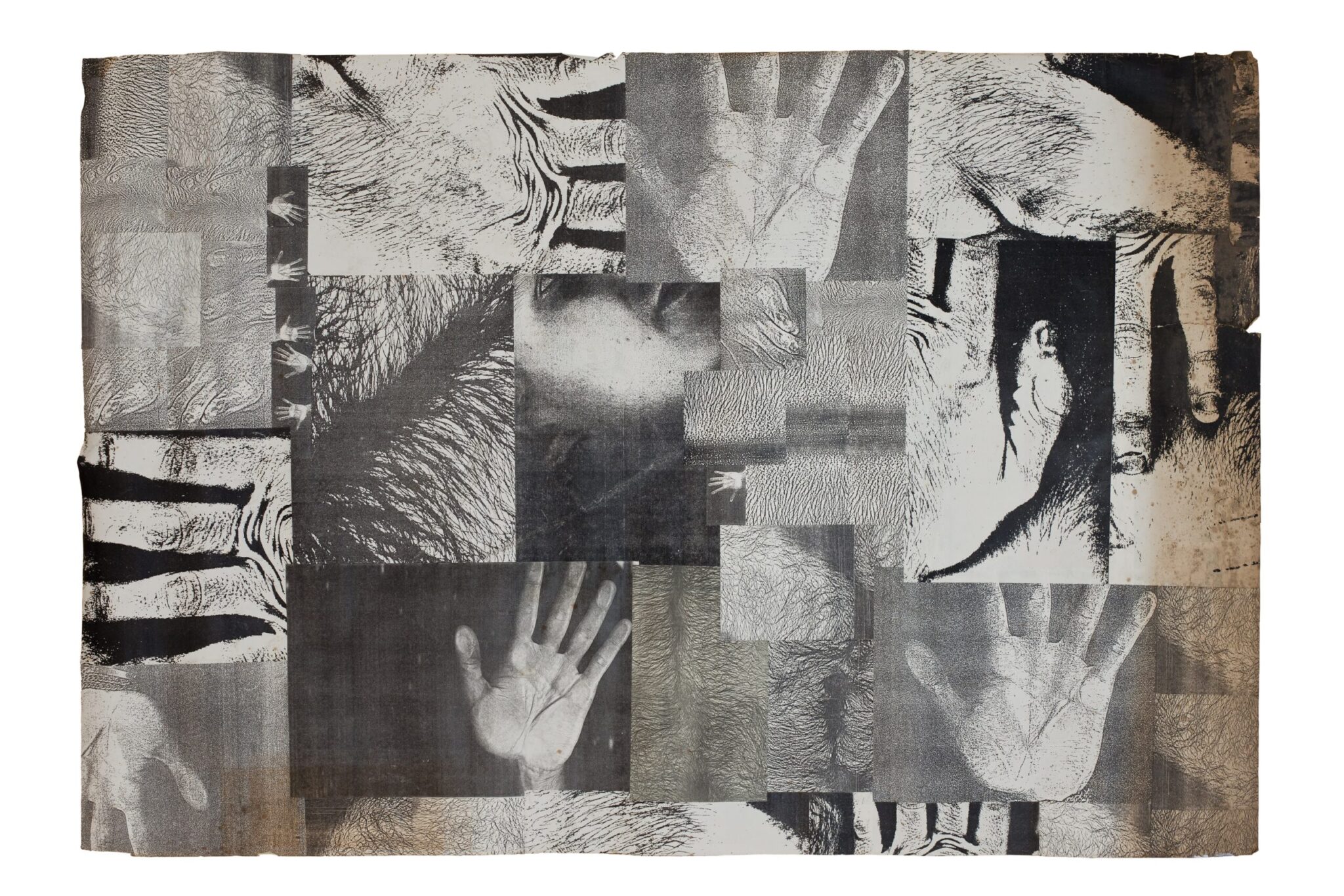 Reprodução fotográfica de obra de arte / artwork reprodution.